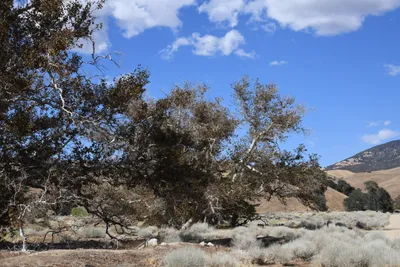 DSC_2306 (Large).JPG